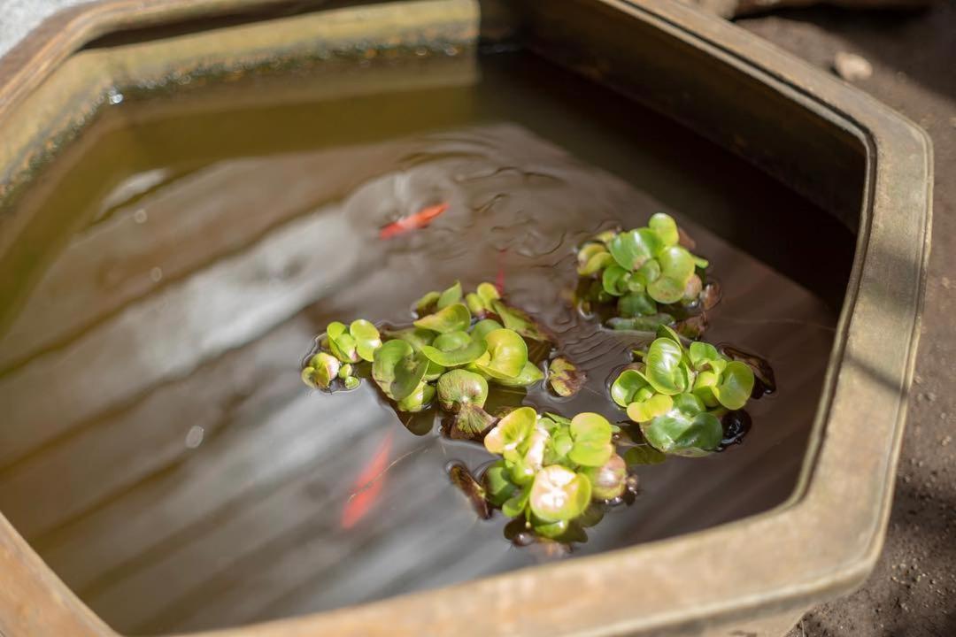 Ryokan Inami Мито Екстериор снимка